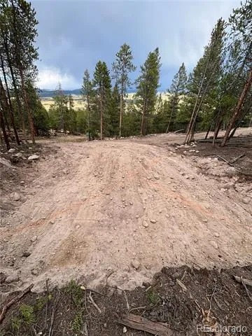 680 Edward East Hill Drive Twin Lakes, CO 81251
