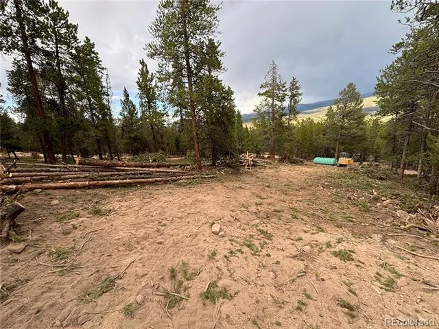 680 Edward East Hill Drive Twin Lakes, CO 81251