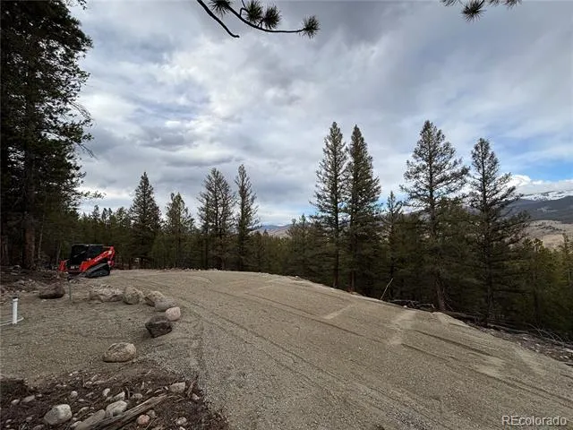 680 Edward East Hill Drive Twin Lakes, CO 81251