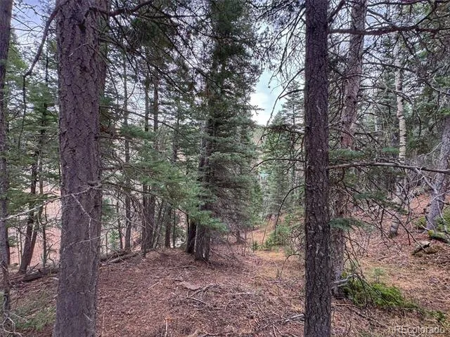 132 Aspen Acres Rye, CO 81252