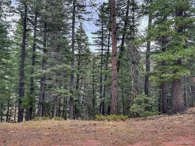 132 Aspen Acres Rye, CO 81252