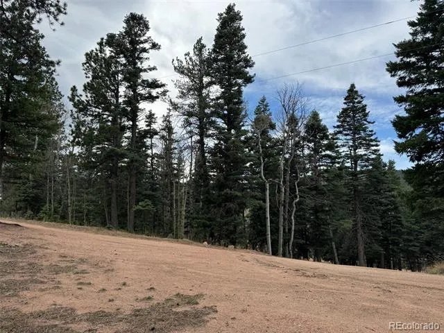 132 Aspen Acres Rye, CO 81252