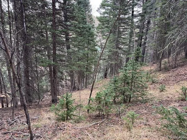 132 Aspen Acres Rye, CO 81252