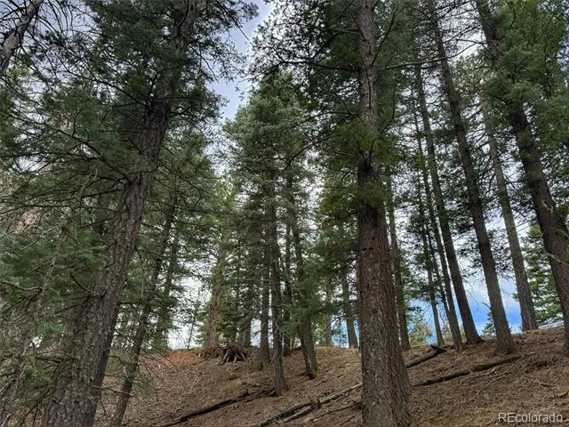 132 Aspen Acres Rye, CO 81252