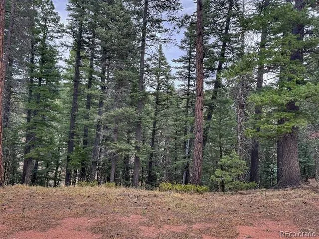 132 Aspen Acres Rye, CO 81252