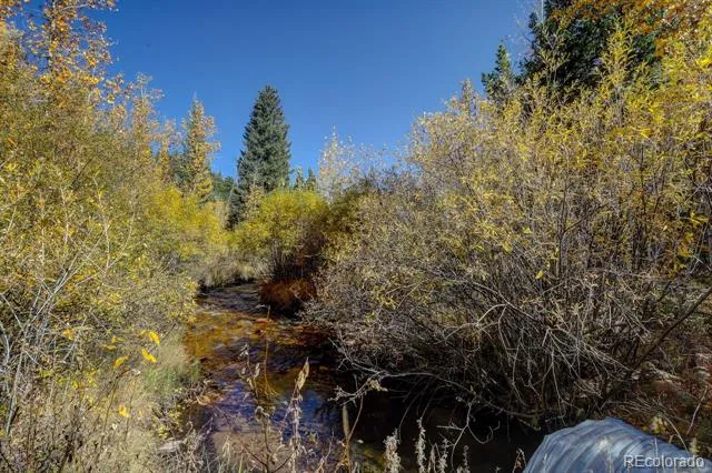7505 County Road 43 Bailey, CO 80421