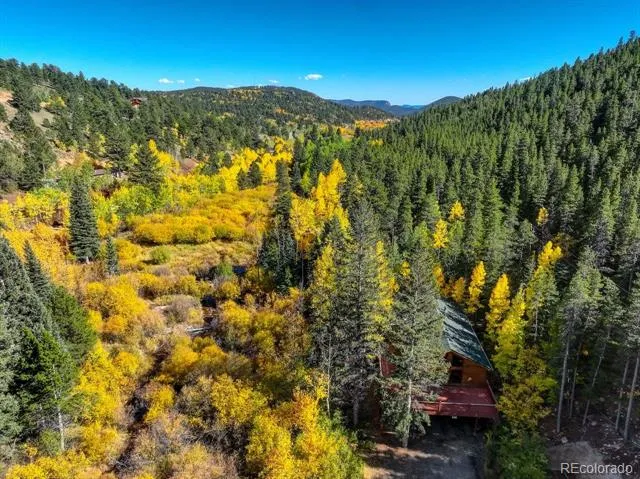 7505 County Road 43 Bailey, CO 80421