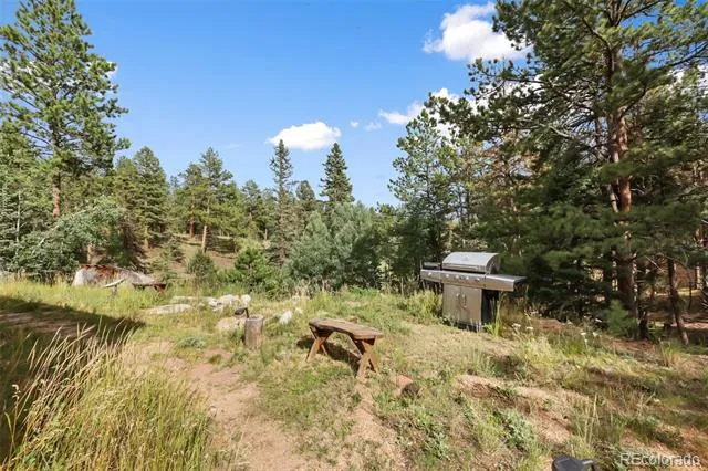 410 Rangeview Road Divide, CO 80814