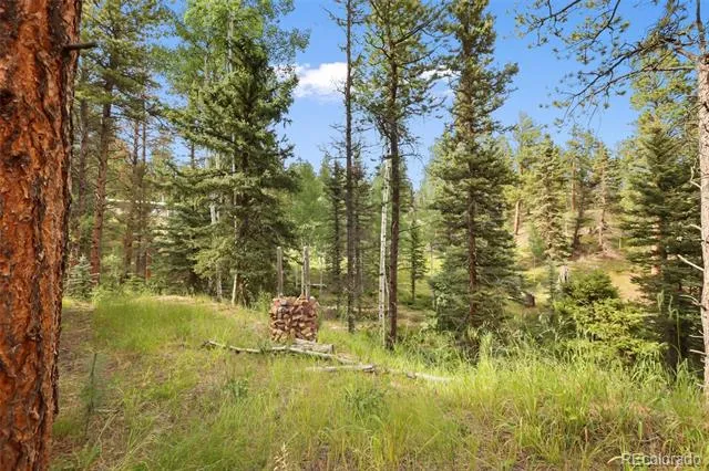 410 Rangeview Road Divide, CO 80814