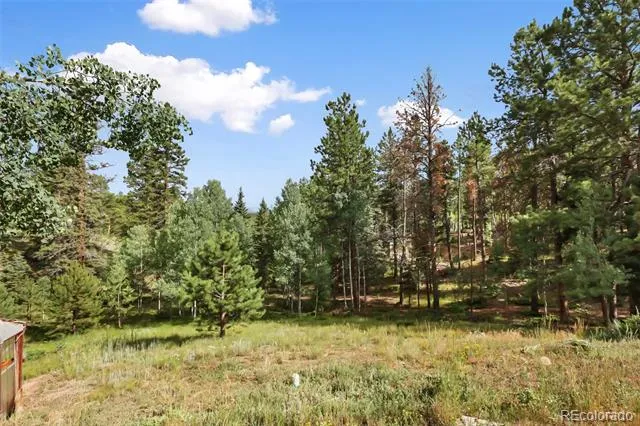 410 Rangeview Road Divide, CO 80814