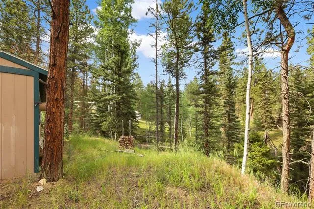 410 Rangeview Road Divide, CO 80814