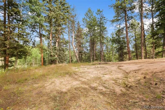 410 Rangeview Road Divide, CO 80814