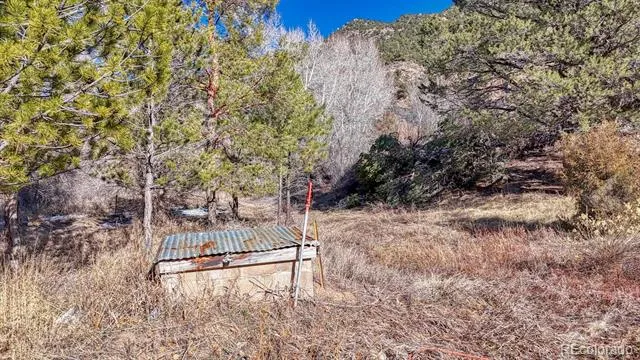 Address Not Shown Coaldale, CO 81222