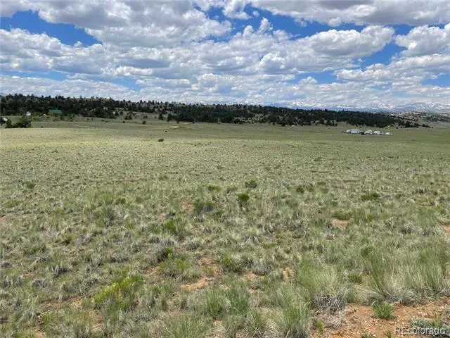 853 La Plata Drive Hartsel, CO 80449