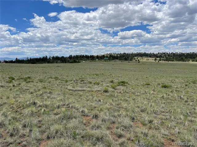 853 La Plata Drive Hartsel, CO 80449