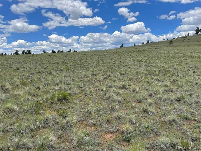 853 La Plata Drive Hartsel, CO 80449