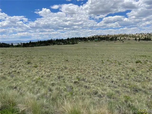 853 La Plata Drive Hartsel, CO 80449