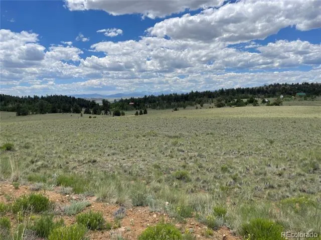 853 La Plata Drive Hartsel, CO 80449