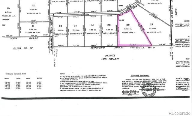 853 La Plata Drive Hartsel, CO 80449