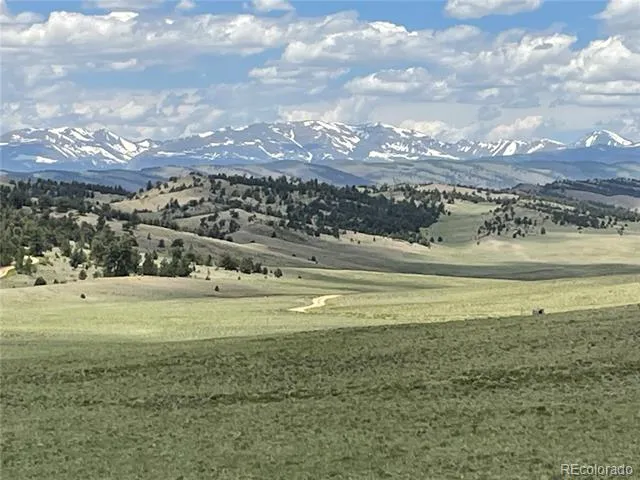 853 La Plata Drive Hartsel, CO 80449