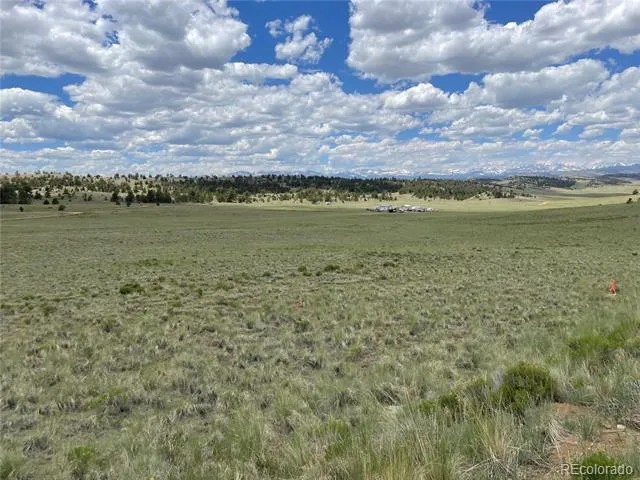 853 La Plata Drive Hartsel, CO 80449