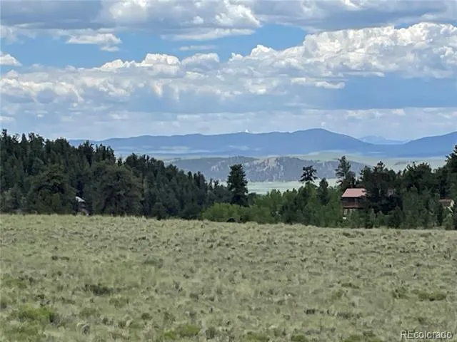 853 La Plata Drive Hartsel, CO 80449