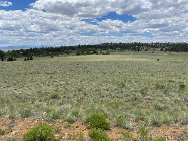 853 La Plata Drive Hartsel, CO 80449