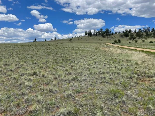 853 La Plata Drive Hartsel, CO 80449