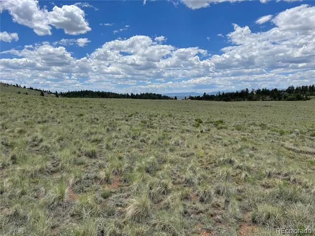 853 La Plata Drive Hartsel, CO 80449