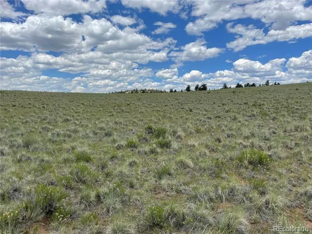 853 La Plata Drive Hartsel, CO 80449