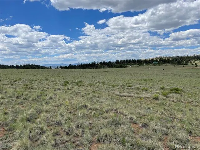 853 La Plata Drive Hartsel, CO 80449