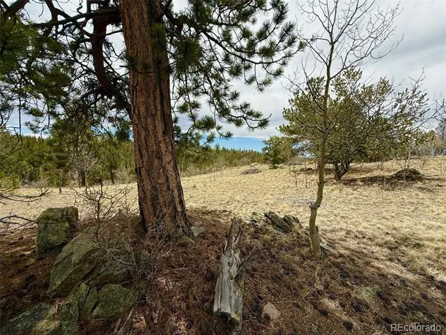 735 Quiver Road Jefferson, CO 80456
