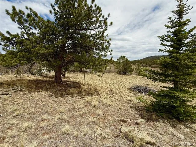 735 Quiver Road Jefferson, CO 80456