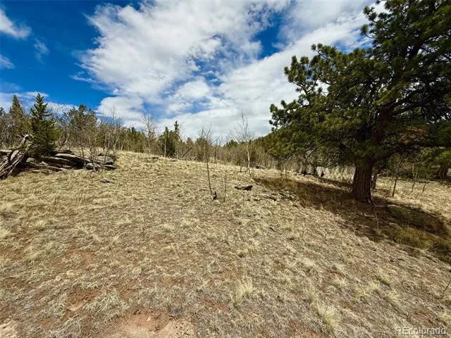 735 Quiver Road Jefferson, CO 80456