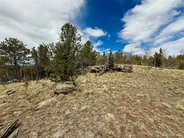 735 Quiver Road Jefferson, CO 80456