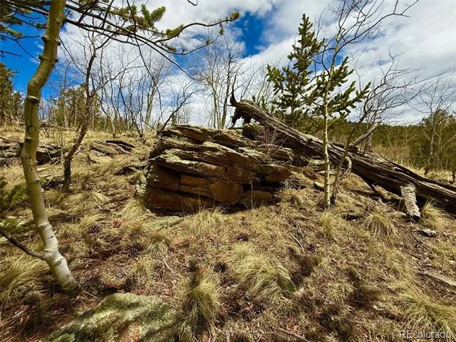 735 Quiver Road Jefferson, CO 80456