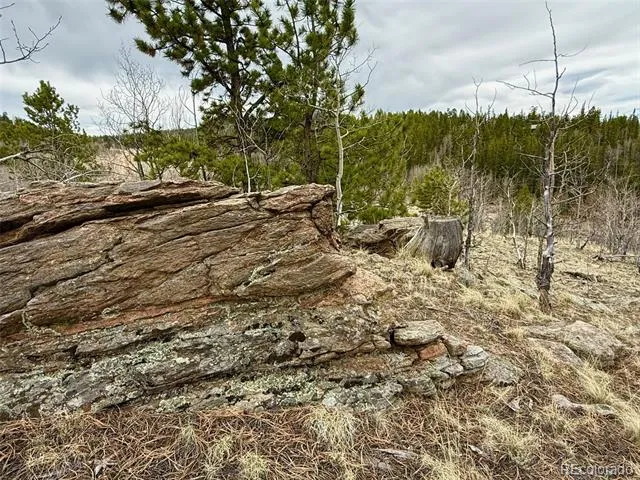 735 Quiver Road Jefferson, CO 80456