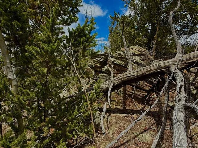 735 Quiver Road Jefferson, CO 80456