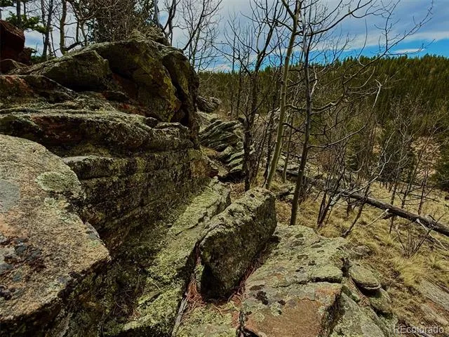 735 Quiver Road Jefferson, CO 80456
