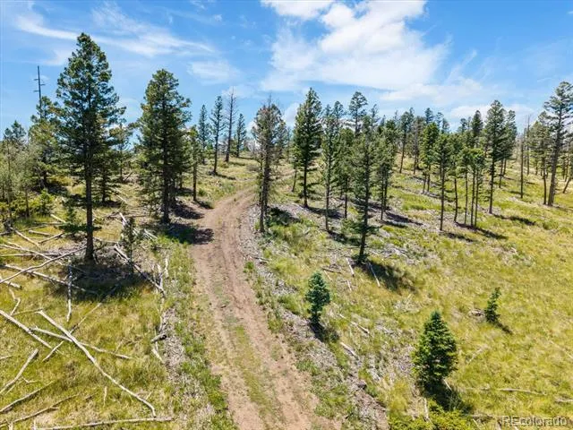 45835 Highway 285 Poncha Springs, CO 81242