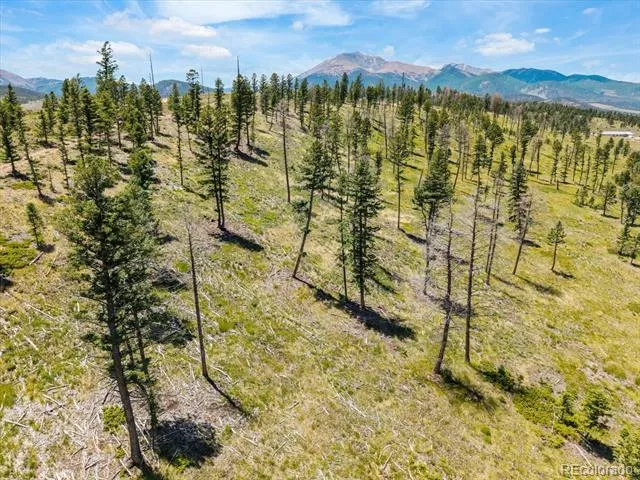45835 Highway 285 Poncha Springs, CO 81242
