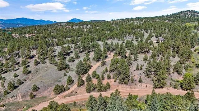 163 Valley View Drive Florissant, CO 80816