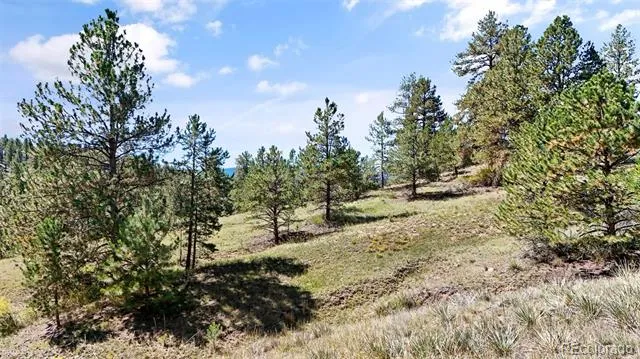 163 Valley View Drive Florissant, CO 80816