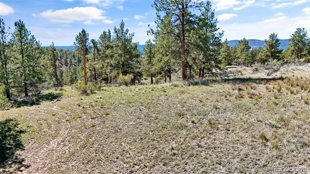 163 Valley View Drive Florissant, CO 80816
