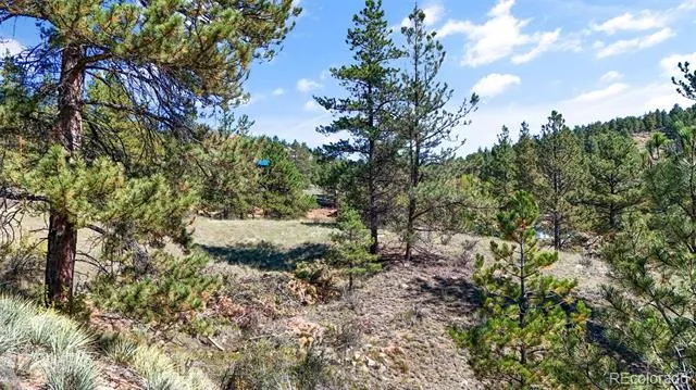 163 Valley View Drive Florissant, CO 80816