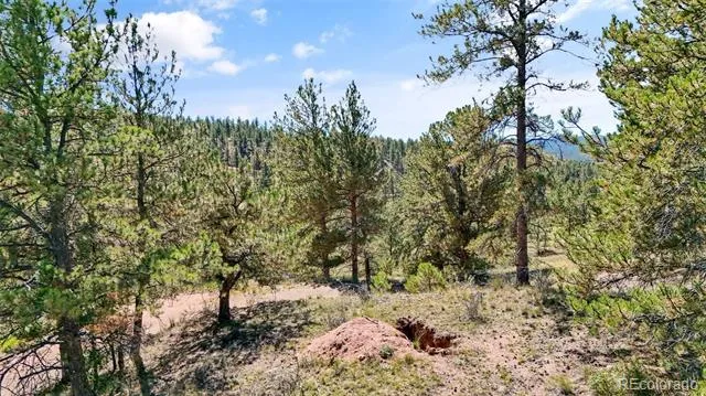 163 Valley View Drive Florissant, CO 80816
