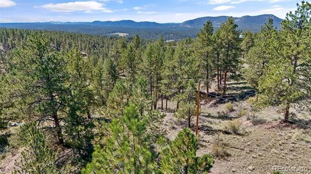 163 Valley View Drive Florissant, CO 80816