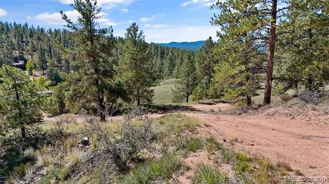 163 Valley View Drive Florissant, CO 80816