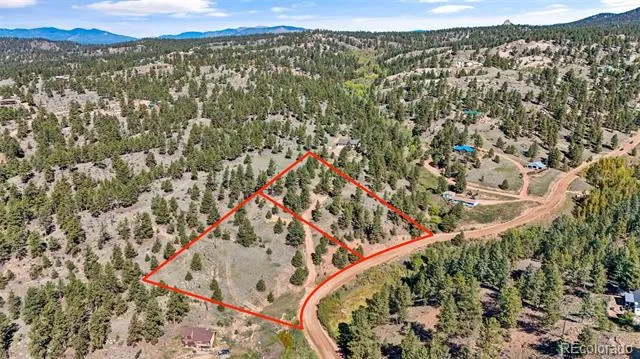 163 Valley View Drive Florissant, CO 80816