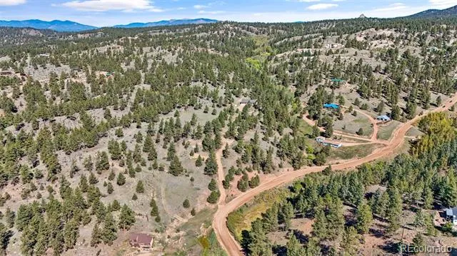 163 Valley View Drive Florissant, CO 80816